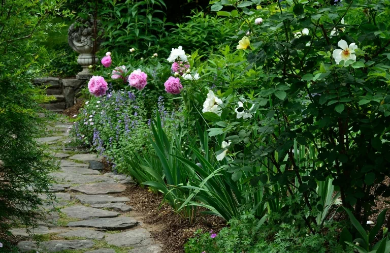 kamienna ścieżka w ogrodzie